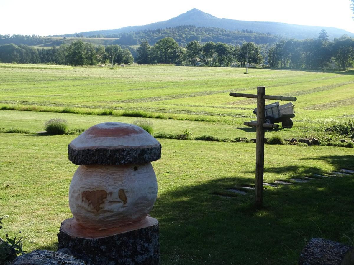 La Ferme De Madelonnet Bed and Breakfast Saint-Jeures Exteriör bild