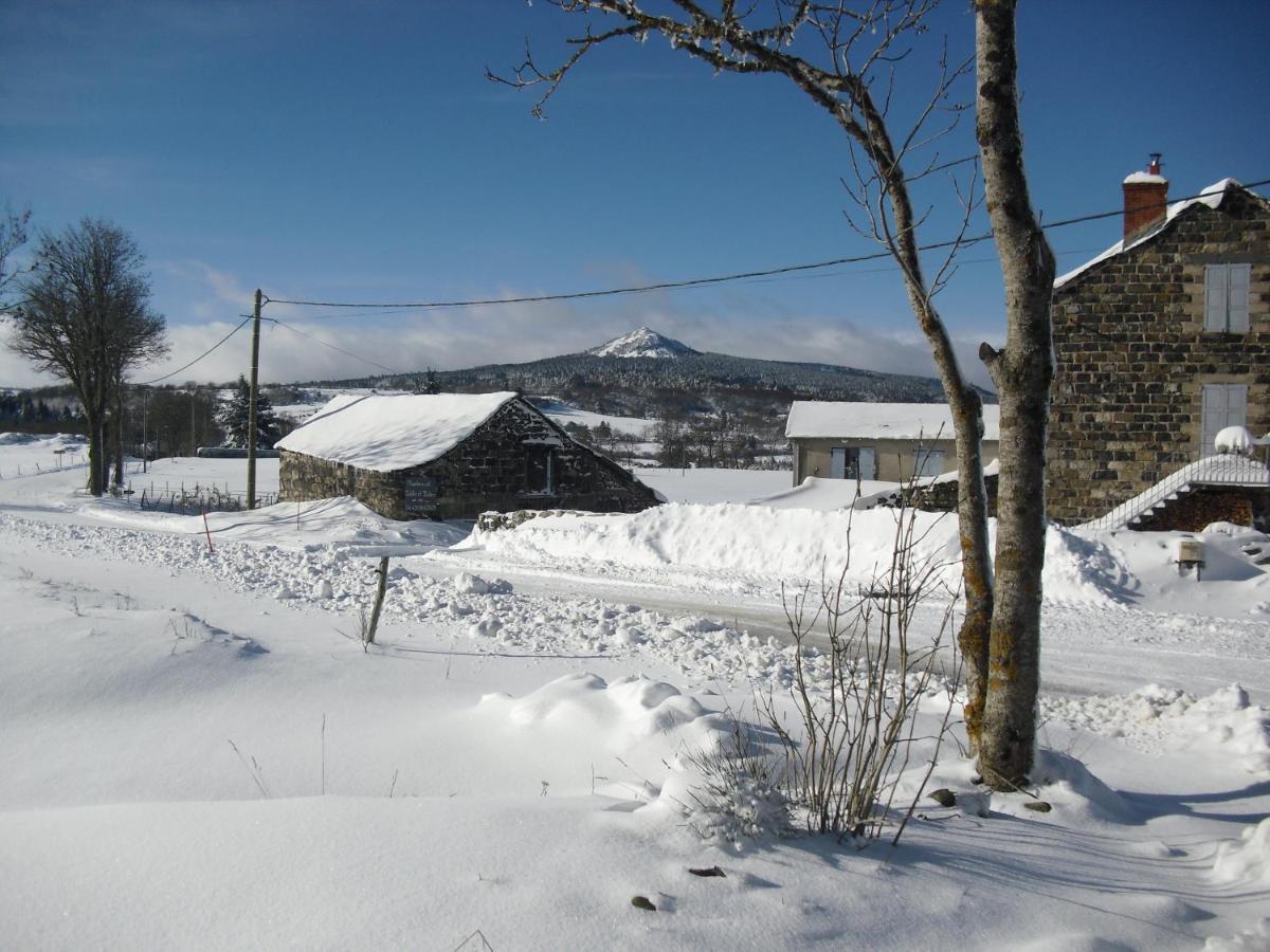 La Ferme De Madelonnet Bed and Breakfast Saint-Jeures Exteriör bild