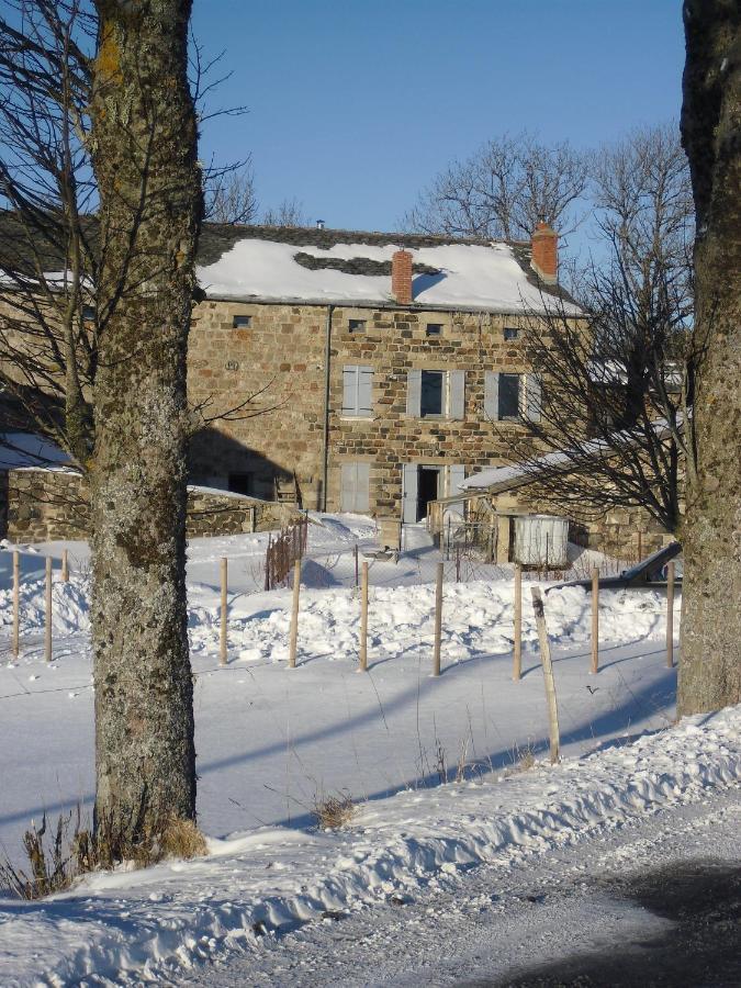 La Ferme De Madelonnet Bed and Breakfast Saint-Jeures Exteriör bild
