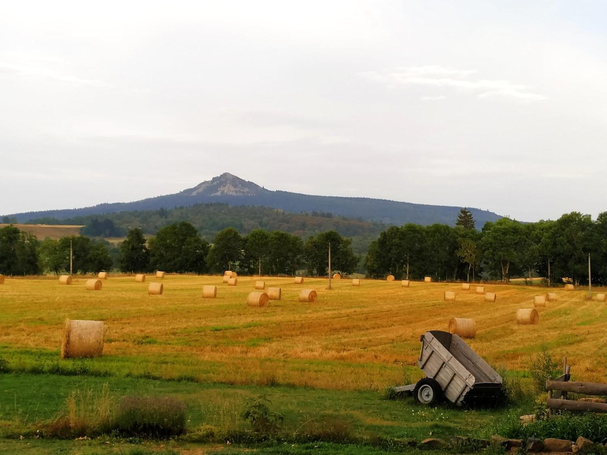 La Ferme De Madelonnet Bed and Breakfast Saint-Jeures Exteriör bild